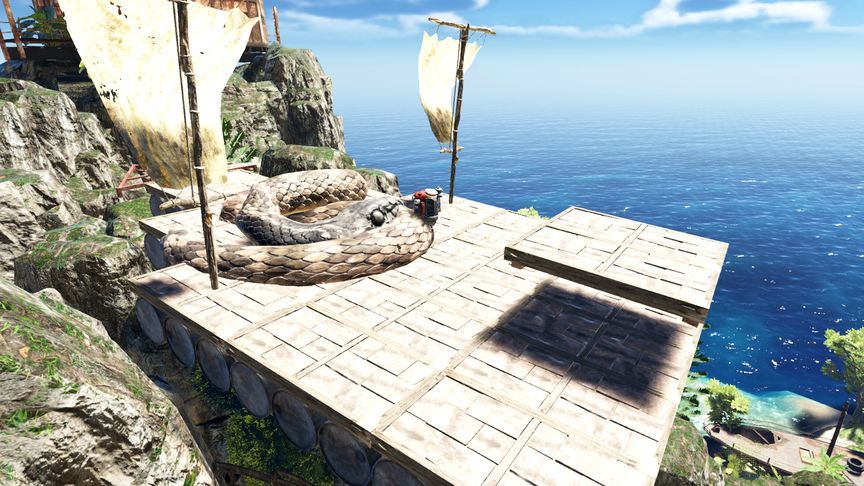 电鸽网页版私密入口|解锁属于你的独家美图