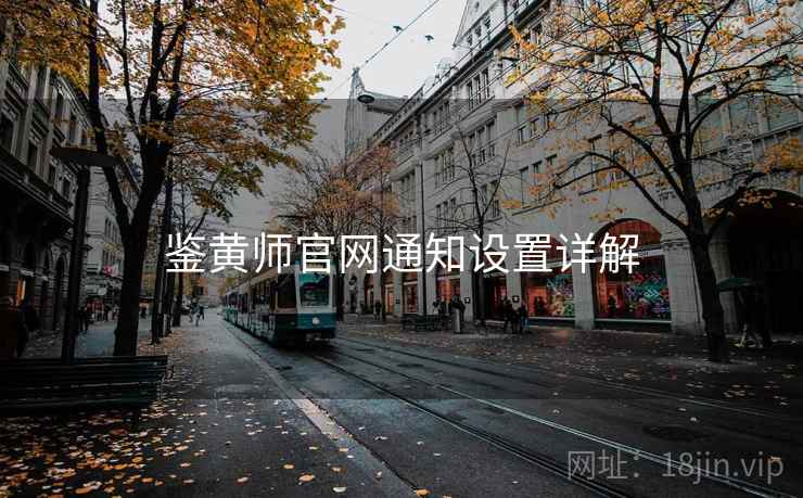 鉴黄师官网通知设置详解
