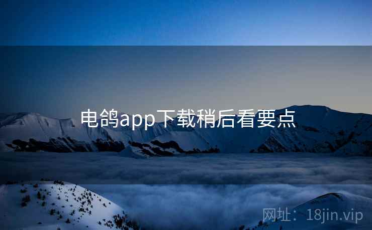 电鸽app下载稍后看要点