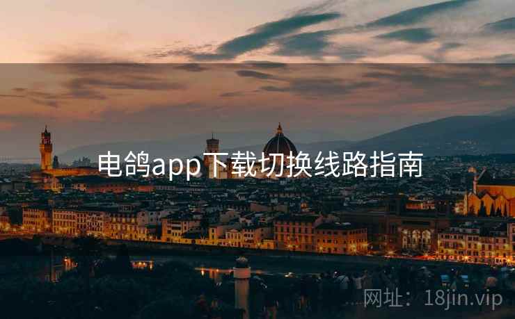 电鸽app下载切换线路指南
