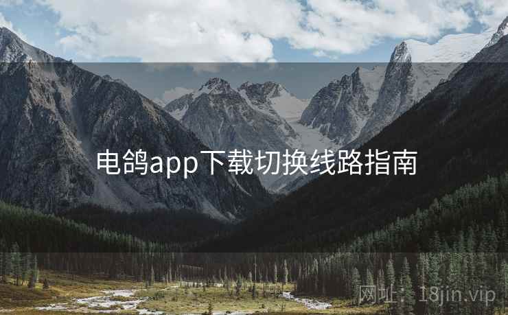 电鸽app下载切换线路指南
